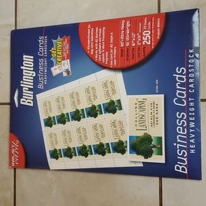 250 Inkjet Business Cards Heavyweight Cardstock